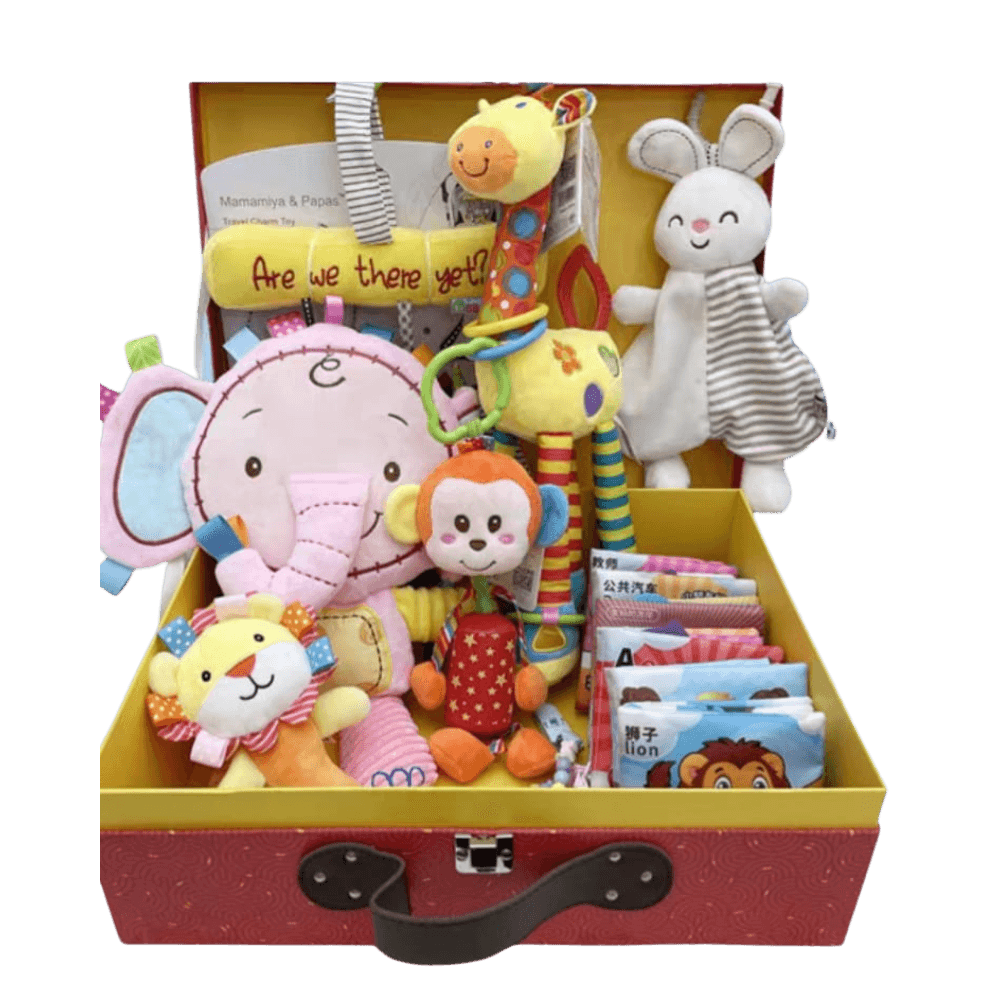Developmental Sensory Toy Collection